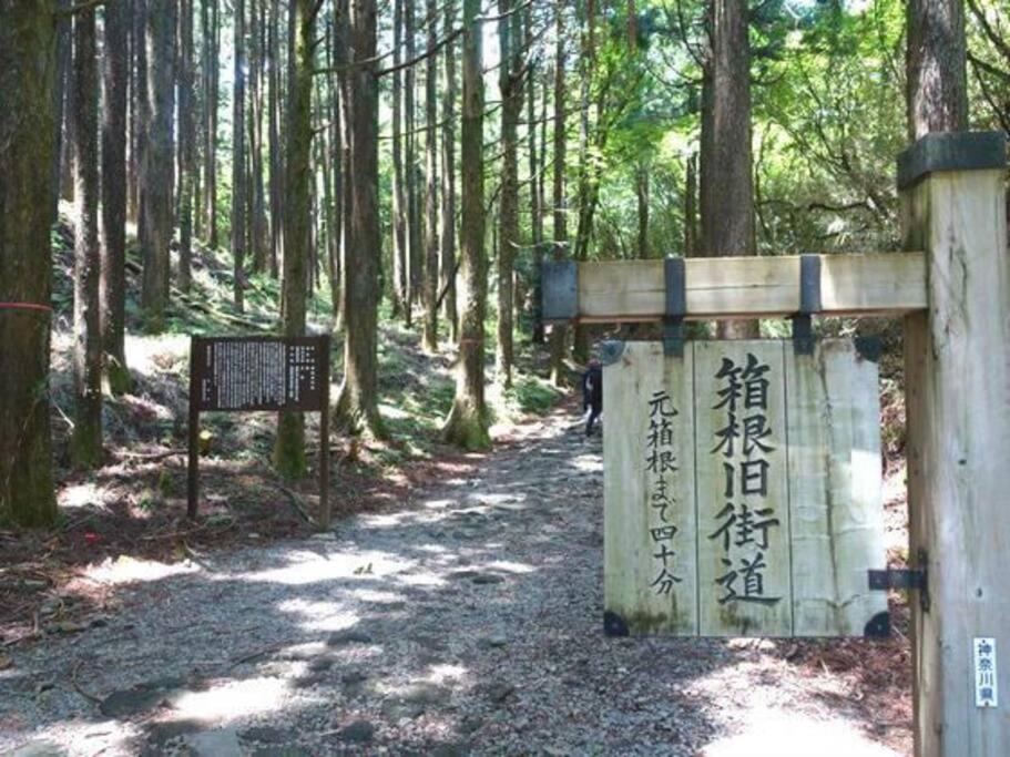 Ek House Hakone Shushinso 箱根修身荘 Villa Exterior foto